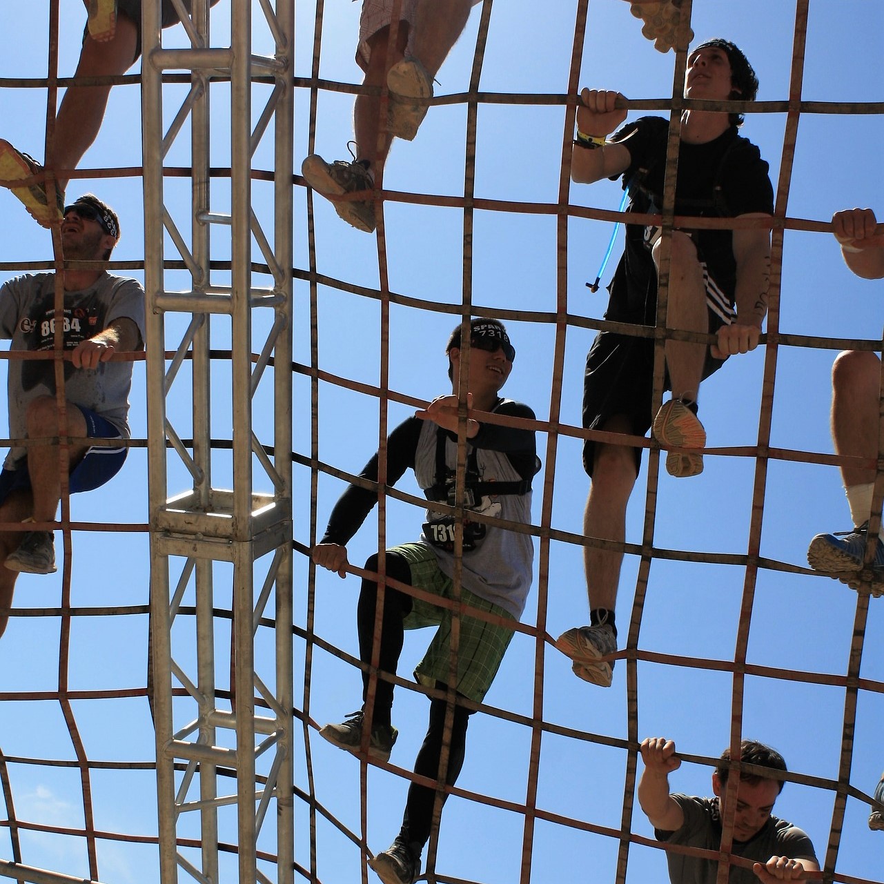 A group of people climbing on a net
