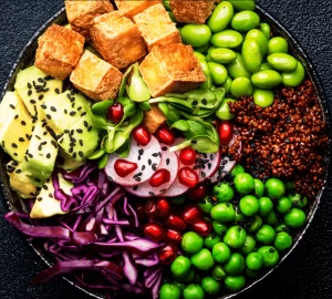 Plant Based diet
