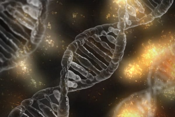 DNA tests to predict muscle