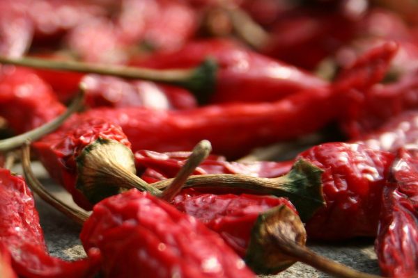 Red Chili pepper