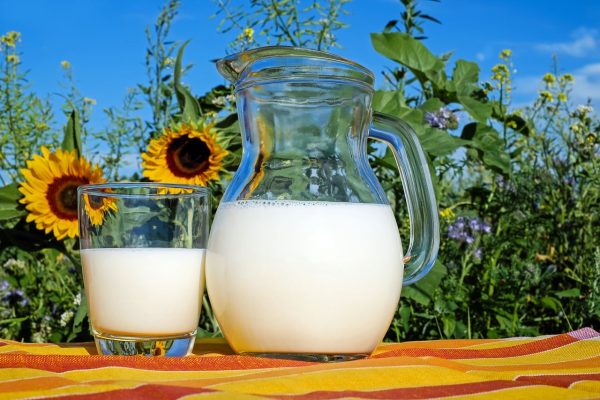 milk ebt