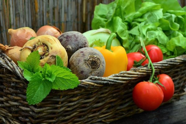ebtofficial diet exercise ebt